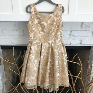Biscotti Collection Dress Youth Size 8